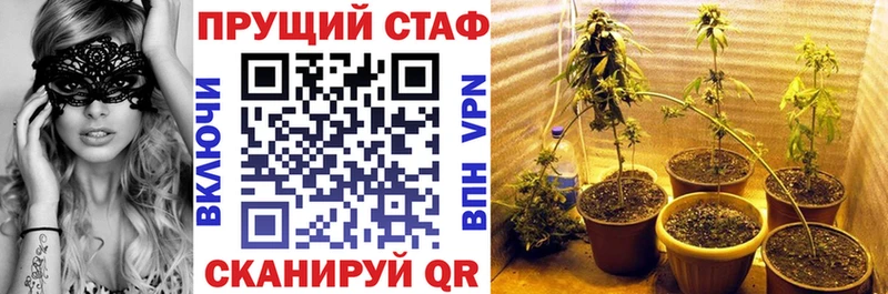Сколько стоит Кедровый МДМА  Меф  Гашиш  Cocaine 
