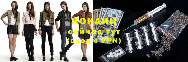 spice Богданович
