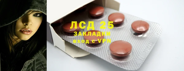 индика Бугульма