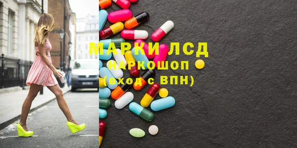 spice Богданович