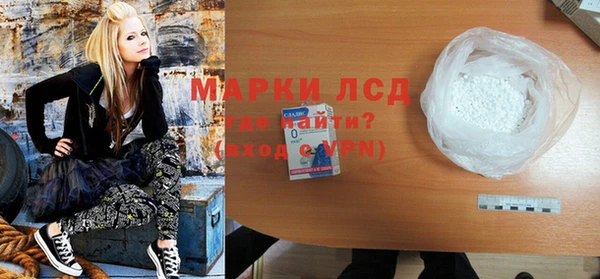 индика Бугульма