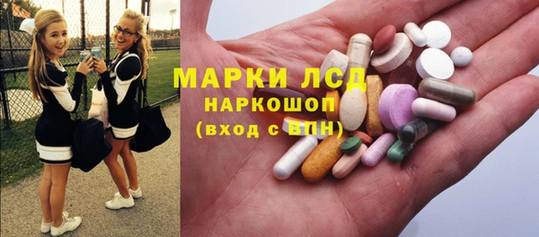 spice Богданович