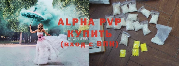 spice Богданович