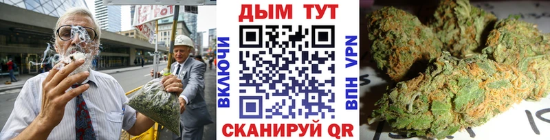 Марихуана гибрид  как найти наркотики  Кедровый 